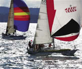 Sailing Regatta