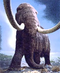 Mammoth